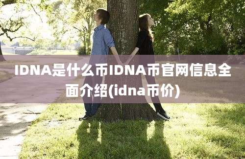 IDNA是什么币IDNA币官网信息全面介绍(idna币价)