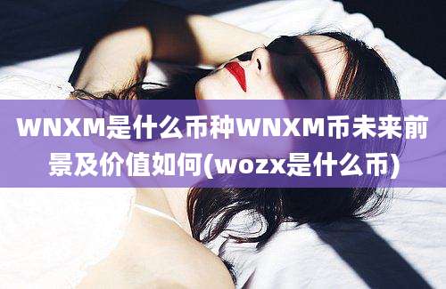 WNXM是什么币种WNXM币未来前景及价值如何(wozx是什么币)