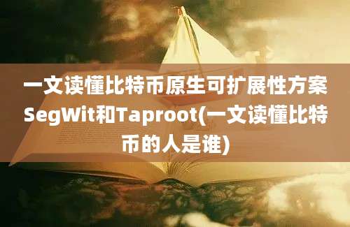 一文读懂比特币原生可扩展性方案SegWit和Taproot(一文读懂比特币的人是谁)