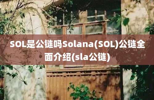 SOL是公链吗Solana(SOL)公链全面介绍(sla公链)