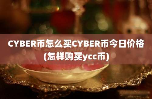 CYBER币怎么买CYBER币今日价格(怎样购买ycc币)