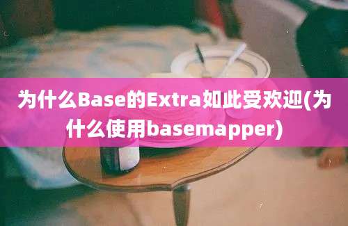 为什么Base的Extra如此受欢迎(为什么使用basemapper)