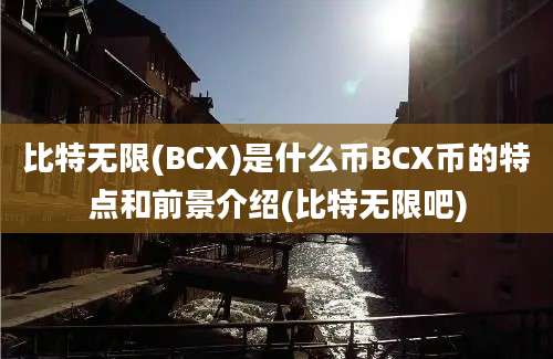 比特无限(BCX)是什么币BCX币的特点和前景介绍(比特无限吧)