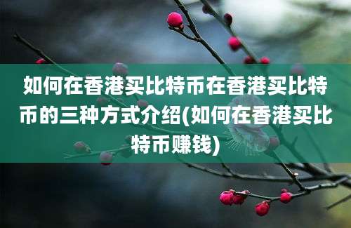 如何在香港买比特币在香港买比特币的三种方式介绍(如何在香港买比特币赚钱)