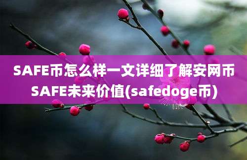 SAFE币怎么样一文详细了解安网币SAFE未来价值(safedoge币)