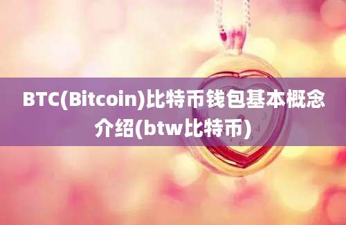 BTC(Bitcoin)比特币钱包基本概念介绍(btw比特币)