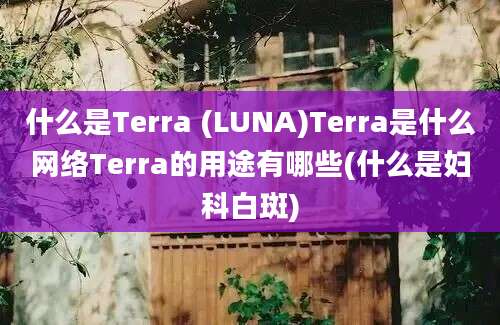 什么是Terra (LUNA)Terra是什么网络Terra的用途有哪些(什么是妇科白斑)