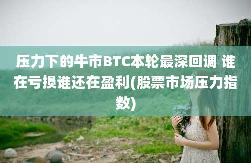 压力下的牛市BTC本轮最深回调 谁在亏损谁还在盈利(股票市场压力指数)