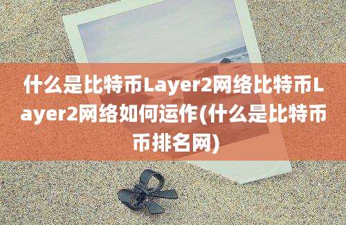 什么是比特币Layer2网络比特币Layer2网络如何运作(什么是比特币 币排名网)