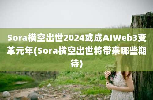 Sora横空出世2024或成AIWeb3变革元年(Sora横空出世将带来哪些期待)