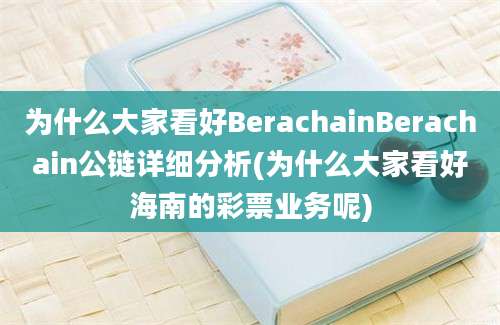 为什么大家看好BerachainBerachain公链详细分析(为什么大家看好海南的彩票业务呢)