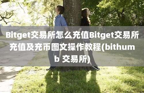 Bitget交易所怎么充值Bitget交易所充值及充币图文操作教程(bithumb 交易所)