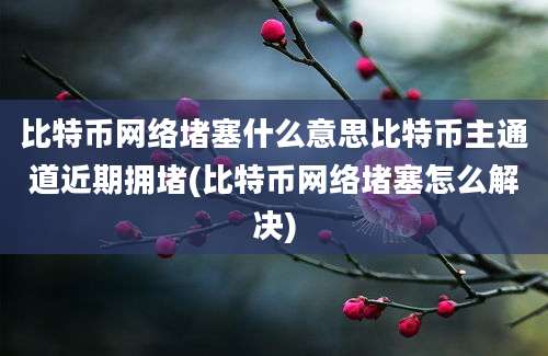 比特币网络堵塞什么意思比特币主通道近期拥堵(比特币网络堵塞怎么解决)