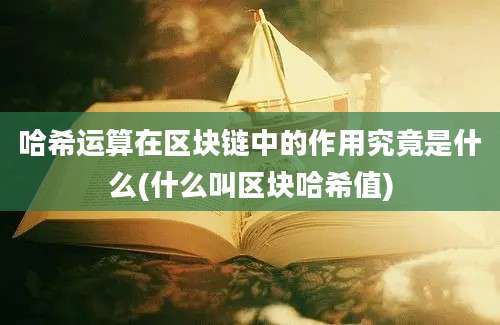 哈希运算在区块链中的作用究竟是什么(什么叫区块哈希值)