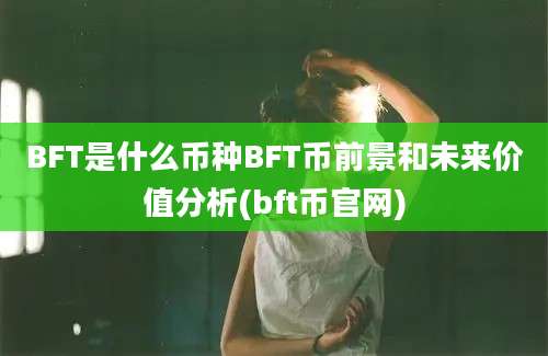 BFT是什么币种BFT币前景和未来价值分析(bft币官网)