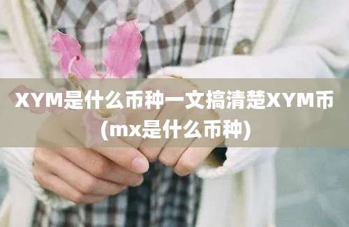 XYM是什么币种一文搞清楚XYM币(mx是什么币种)