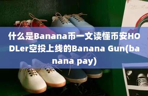 什么是Banana币一文读懂币安HODLer空投上线的Banana Gun(banana pay)