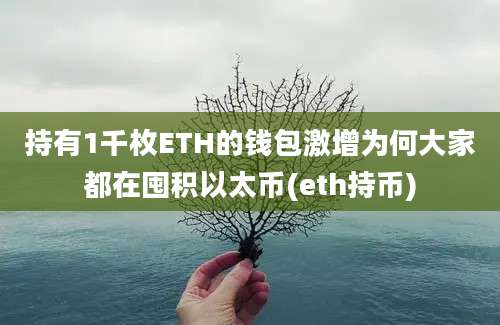 持有1千枚ETH的钱包激增为何大家都在囤积以太币(eth持币)