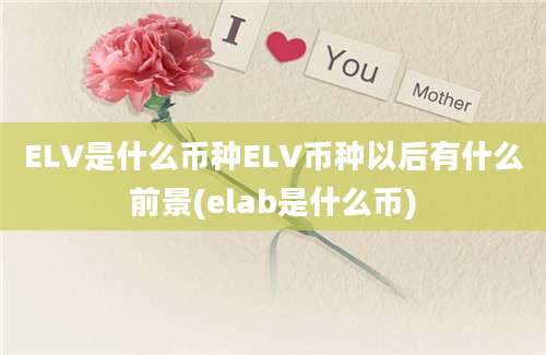 ELV是什么币种ELV币种以后有什么前景(elab是什么币)