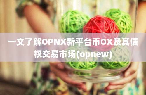 一文了解OPNX新平台币OX及其债权交易市场(opnew)