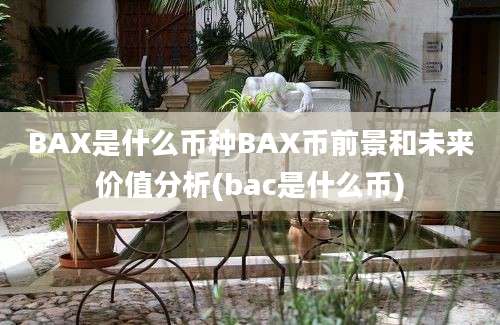 BAX是什么币种BAX币前景和未来价值分析(bac是什么币)