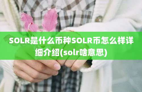 SOLR是什么币种SOLR币怎么样详细介绍(solr啥意思)