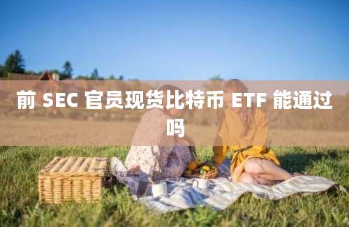 前 SEC 官员现货比特币 ETF 能通过吗