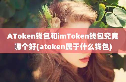 AToken钱包和imToken钱包究竟哪个好(atoken属于什么钱包)