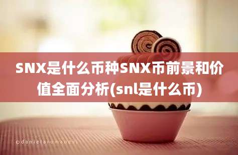 SNX是什么币种SNX币前景和价值全面分析(snl是什么币)