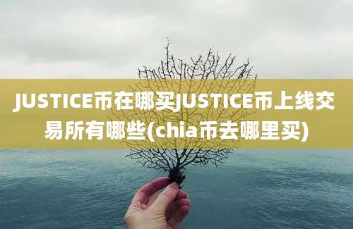 JUSTICE币在哪买JUSTICE币上线交易所有哪些(chia币去哪里买)