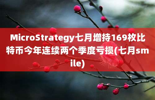 MicroStrategy七月增持169枚比特币今年连续两个季度亏损(七月smile)