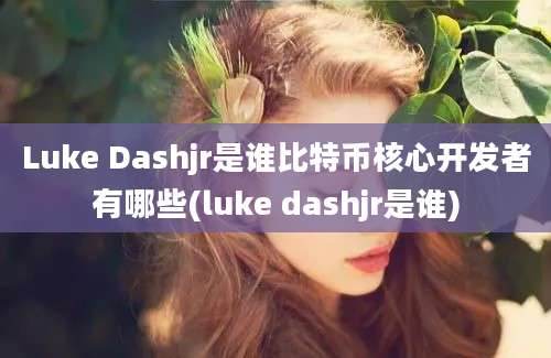 Luke Dashjr是谁比特币核心开发者有哪些(luke dashjr是谁)