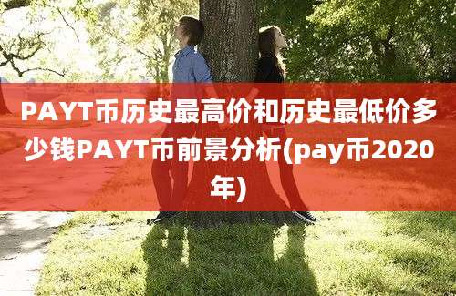 PAYT币历史最高价和历史最低价多少钱PAYT币前景分析(pay币2020年)