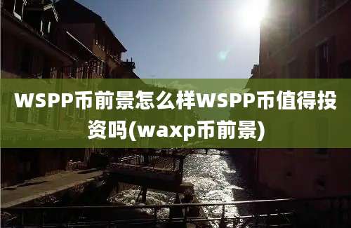 WSPP币前景怎么样WSPP币值得投资吗(waxp币前景)