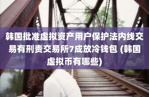 韩国批准虚拟资产用户保护法内线交易有刑责交易所7成放冷钱包 (韩国虚拟币有哪些)