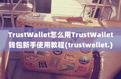 TrustWallet怎么用TrustWallet钱包新手使用教程(trustwellet.)