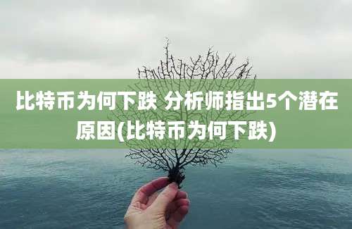 比特币为何下跌 分析师指出5个潜在原因(比特币为何下跌)