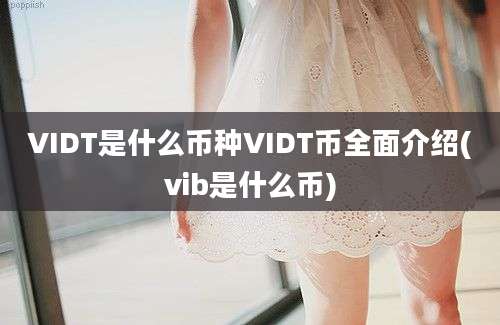 VIDT是什么币种VIDT币全面介绍(vib是什么币)