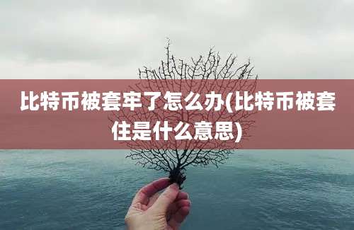 比特币被套牢了怎么办(比特币被套住是什么意思)