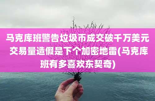 马克库班警告垃圾币成交破千万美元 交易量造假是下个加密地雷(马克库班有多喜欢东契奇)