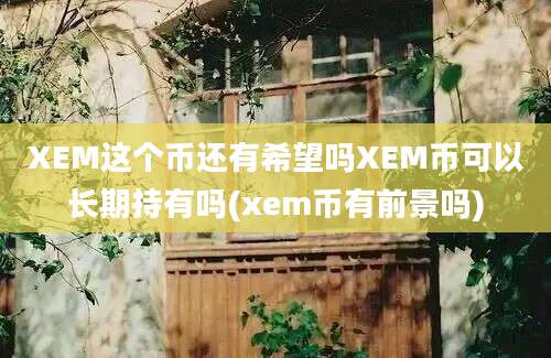 XEM这个币还有希望吗XEM币可以长期持有吗(xem币有前景吗)