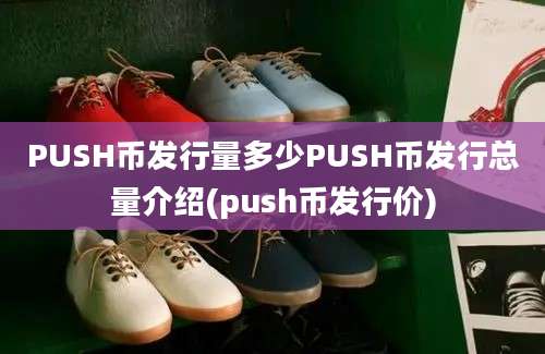 PUSH币发行量多少PUSH币发行总量介绍(push币发行价)