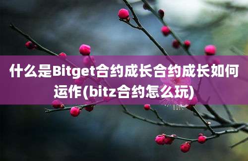 什么是Bitget合约成长合约成长如何运作(bitz合约怎么玩)