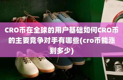 CRO币在全球的用户基础如何CRO币的主要竞争对手有哪些(cro币能涨到多少)