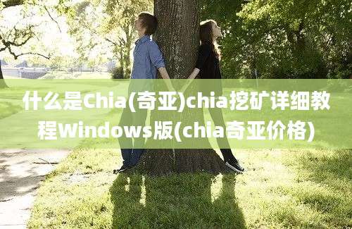 什么是Chia(奇亚)chia挖矿详细教程Windows版(chia奇亚价格)