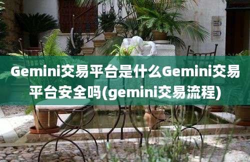 Gemini交易平台是什么Gemini交易平台安全吗(gemini交易流程)