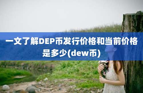 一文了解DEP币发行价格和当前价格是多少(dew币)