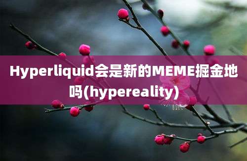 Hyperliquid会是新的MEME掘金地吗(hypereality)