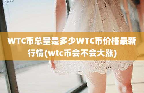 WTC币总量是多少WTC币价格最新行情(wtc币会不会大涨)