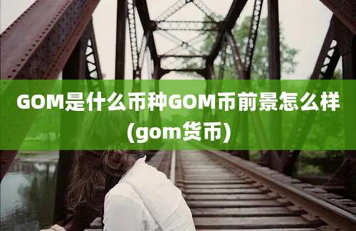 GOM是什么币种GOM币前景怎么样(gom货币)